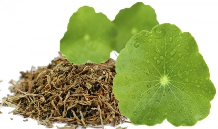 Composição do Durasil - Lista de Ingredientes 